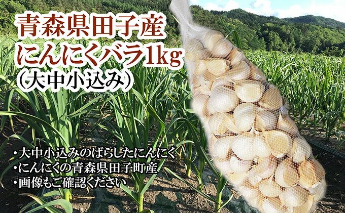 【ふるさと納税】青森県田子産にんにくバラ（訳あり）約1kg　【 野菜 薬味 青森県産にんにく 青森のにんにく 青森にんにく 食べ物 食品 日本産 国産 ガーリック 自宅用 素揚げ すりおろし ホイル焼き 】