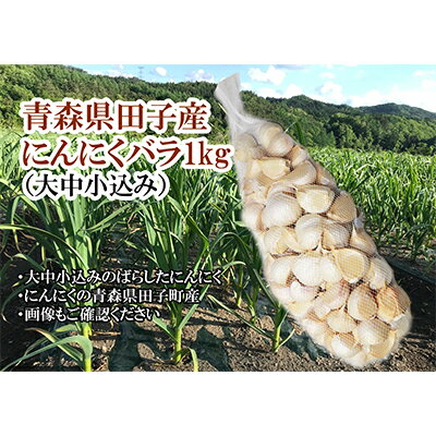 【ふるさと納税】青森県田子産にんに...