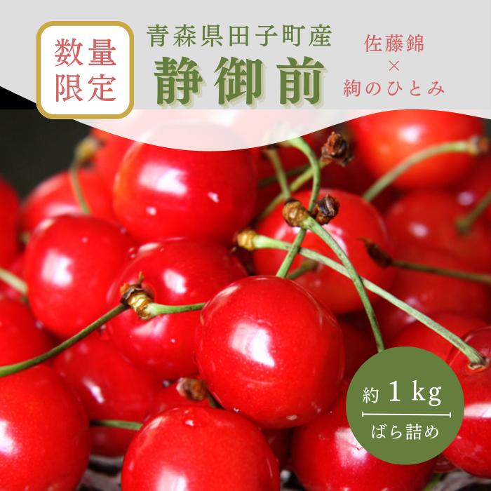 15位! 口コミ数「0件」評価「0」【数量限定 6月中旬から6月下旬発送】贈答用 静御前（さくらんぼ）バラ詰め 約1kg 青森県田子町産　【田子町】　お届け：2024年6月中旬･･･ 