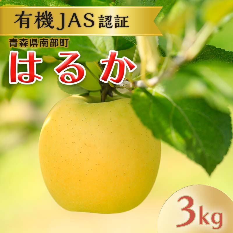 【ふるさと納税】 有機JAS認証 りんご はるか 約3kg 【和楽堂りんご養生農苑】青森りんご リンゴ 林檎 アップル あおもり 青森 青森県 南部町 三戸 南部 果物 くだもの フルーツ オーガニック F21U-324