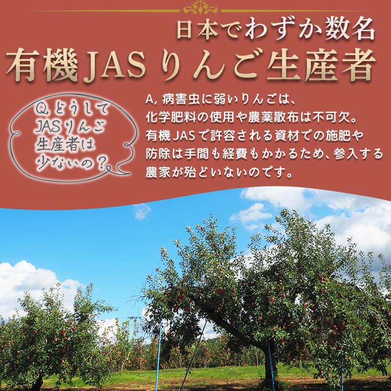 【ふるさと納税】 有機JAS認証 りんご はるか 約3kg 【和楽堂りんご養生農苑】青森りんご リンゴ 林檎 アップル あおもり 青森 青森県 南部町 三戸 南部 果物 くだもの フルーツ オーガニック F21U-324