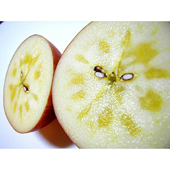 【ふるさと納税】 青森県南部町産 濃厚りんごサンふじ 約5kg 【アグリーデザイン】 スタンダード 青森りんご リンゴ 林檎 アップル 青森県 南部町 果物 くだもの フルーツ 3kg 以上 F21U-035