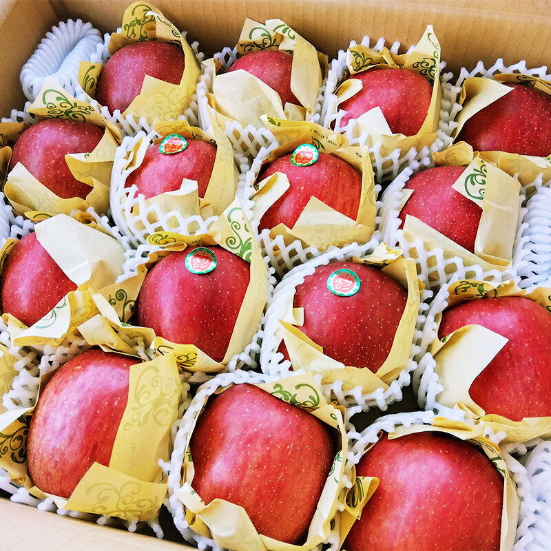 【ふるさと納税】 青森県南部町産 濃厚りんごサンふじ 約5kg 【アグリーデザイン】 スタンダード 青森りんご リンゴ 林檎 アップル 青森県 南部町 果物 くだもの フルーツ 3kg 以上 F21U-035