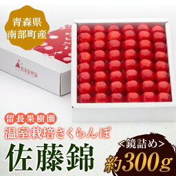 【ふるさと納税】 温室栽培さくらんぼ 「佐藤錦」 鏡詰め(300g) 【留長果樹園】 期間限定 初夏のルビー 贈答 フルーツ王国 フルーツ 南部町 国産 サクランボ チェリー 青森 F21U-049