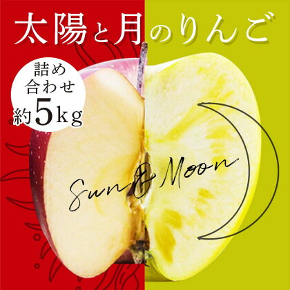 青森りんご ぐんま名月・サンふじ　月と太陽のりんご詰め合わせ 約5kg 【泉山果樹園】 サン ムーン 林檎 リンゴ アップル 青森県 南部町 フルーツ 果物 くだもの F21U-065
