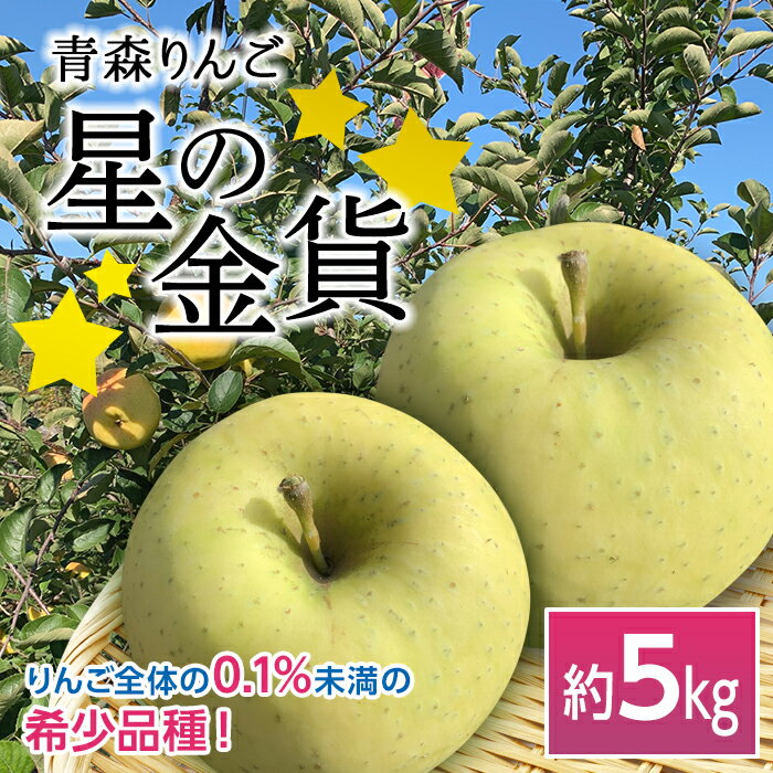 青森りんご 星の金貨 約5kg [マルス果樹園] りんご リンゴ 林檎 アップル 果物 くだもの フルーツ あおもり 青森 青森県 南部町 三戸 南部 F21U-079
