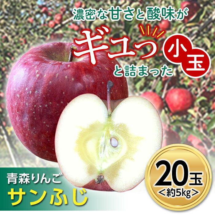 青森りんご サンふじ 約5kg (小玉20玉) [マルス果樹園] ふじ りんご リンゴ 林檎 アップル 果物 くだもの フルーツ あおもり 青森 青森県 南部町 三戸 南部 F21U-101