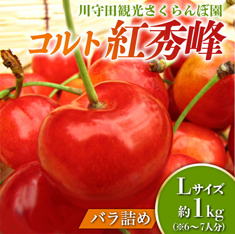 【ふるさと納税】さくらんぼ 「コルト紅秀峰 Lサイズ」 バラ (約1kg) ※6～7人分 【川守田観光さくらん...