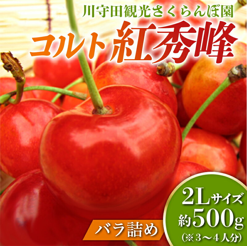 さくらんぼ 「コルト紅秀峰 2Lサイズ」 バラ (約500g) ※3〜4人分 [川守田観光さくらんぼ園] フルーツ王国 南部町 サクランボ チェリー 桜桃 果物 くだもの フルーツ 夏果実 高級 贈答 ギフト 産地直送 青森県産 デザート 旬 F21U-289