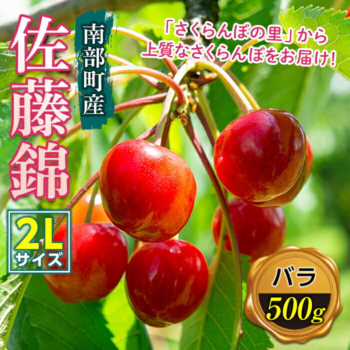 さくらんぼ 「佐藤錦2Lサイズ」バラ(約500g) [西舘農園] 青森県エコファーマー認定 贈答 フルーツ王国 南部町 サクランボ 青森県産 F21U-172