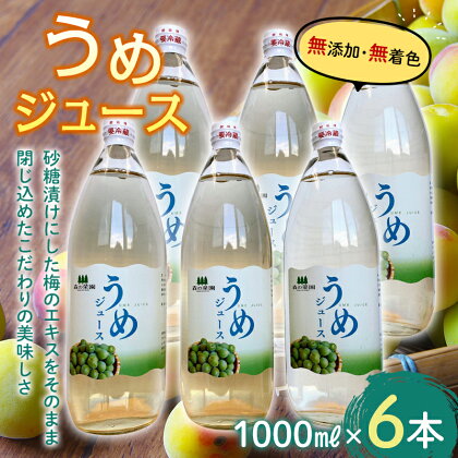 うめジュース(1000ml瓶×6本) 【森の菜園】 フルーツ王国 梅 ウメ 梅ジュース ウメジュース 青森県 南部町 1l 1L F21U-197