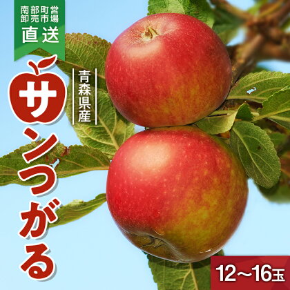 りんご 「サンつがる」 （12～16玉） 【カネテ青果】 青森りんご 南部町営卸売市場 直送 リンゴ 林檎 アップル あおもり 青森 青森県 南部町 果物 くだもの フルーツ F21U-210