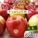 【ふるさと納税】 特選 (大玉) 青森産 完熟 りんご 約3kg サンふじ 王林 2種セット 【誠果園】 青森りんご リンゴ 林檎 アップル あお..