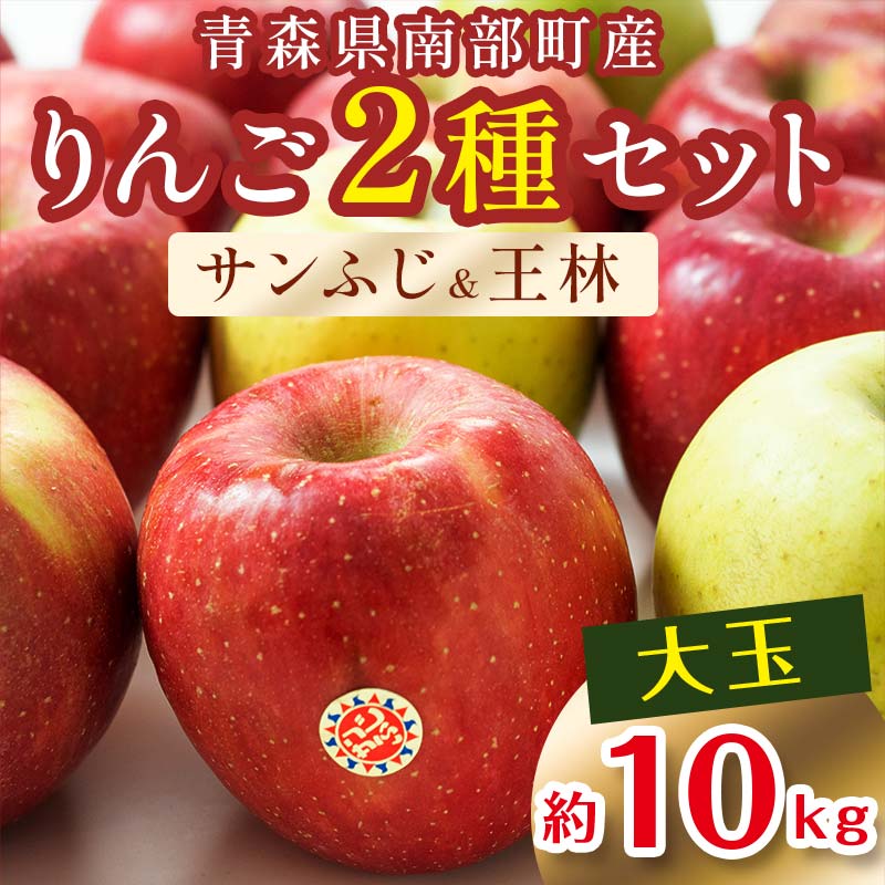 【ふるさと納税】特選 (大玉) 青森産 完熟 りんご 約10kg サンふじ 王林 2種セット 【誠果園】 青森りんご リンゴ 林檎 アップル あおもり 青森 青森県 南部町 澁川賞受賞 果物 くだもの フルーツ F21U-221