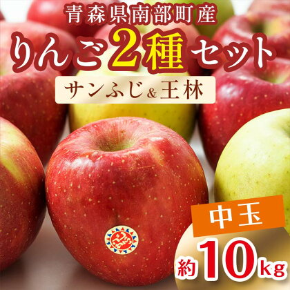 特 (中玉) 青森産 完熟 りんご 約10kg サンふじ 王林 2種セット 【誠果園】 青森りんご リンゴ 林檎 アップル あおもり 青森 青森県 南部町 澁川賞受賞 果物 くだもの フルーツ F21U-223