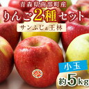  秀 （小玉） 青森産 完熟 りんご 約5kg サンふじ 王林 2種セット  青森りんご リンゴ 林檎 アップル あおもり 青森 青森県 南部町 澁川賞受賞 果物 くだもの フルーツ F21U-224