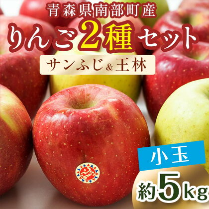 秀 （小玉） 青森産 完熟 りんご 約5kg サンふじ 王林 2種セット 【誠果園】 青森りんご リンゴ 林檎 アップル あおもり 青森 青森県 南部町 澁川賞受賞 果物 くだもの フルーツ F21U-224