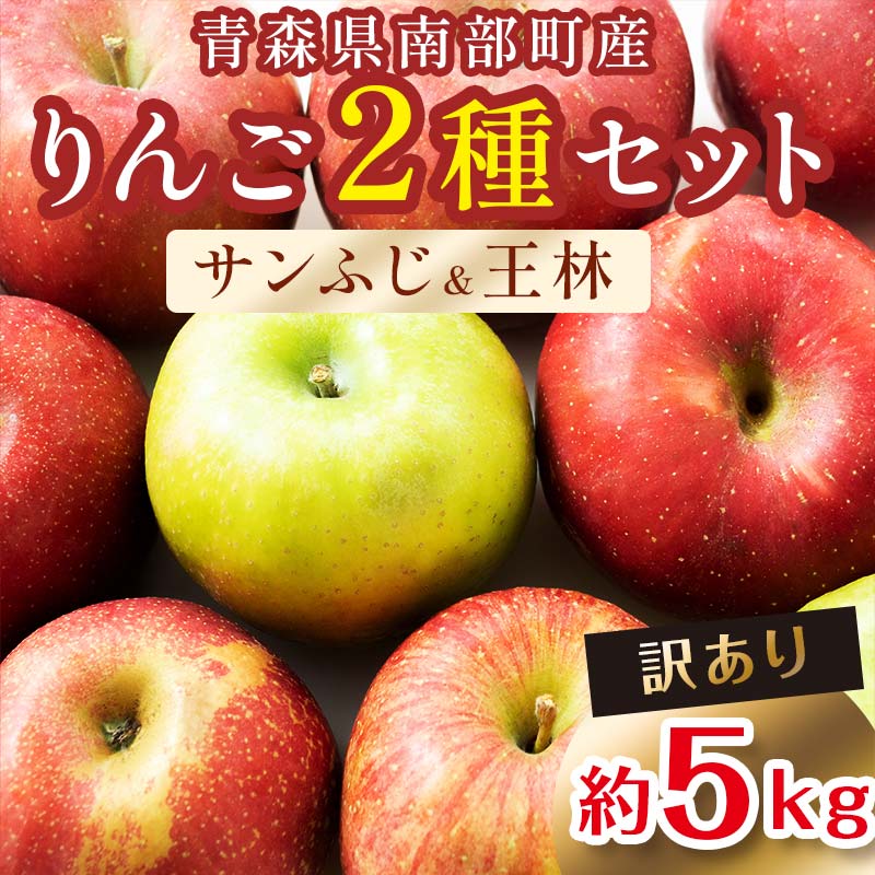 [訳あり] 青森産 完熟 りんご 約5kg サンふじ 王林 2種セット (中〜大玉) [誠果園] リ青森りんご リンゴ 林檎 アップル あおもり 青森 青森県 南部町 澁川賞受賞 果物 くだもの フルーツ 家庭用 わけあり ワケアリ 訳アリ 規格外品 F21U-226