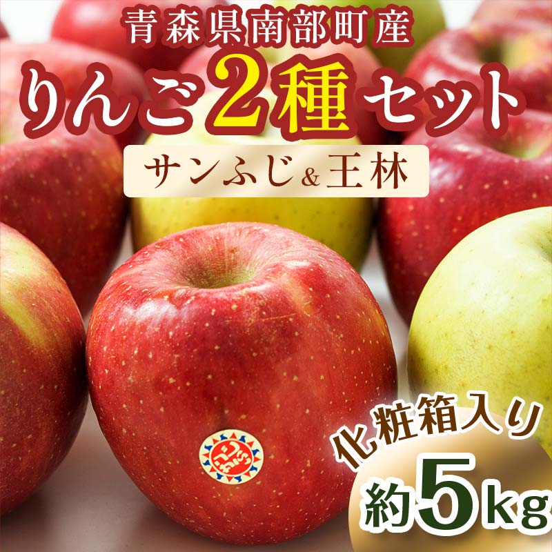 最高級 特選（超大玉） 青森産 完熟 りんご 約5kg サンふじ 王林 2種セット 化粧箱入り 【誠果園】 青森りんご リンゴ 林檎 アップル あおもり 青森 青森県 南部町 澁川賞受賞 果物 くだもの フルーツ 贈答 F21U-230