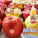 【ふるさと納税】 特選（大玉） 青森産 完熟 りんご 約3kg サンふじ 王林 2種セット ＆ りんごジュース セット 【誠果園】 青森りんご ..