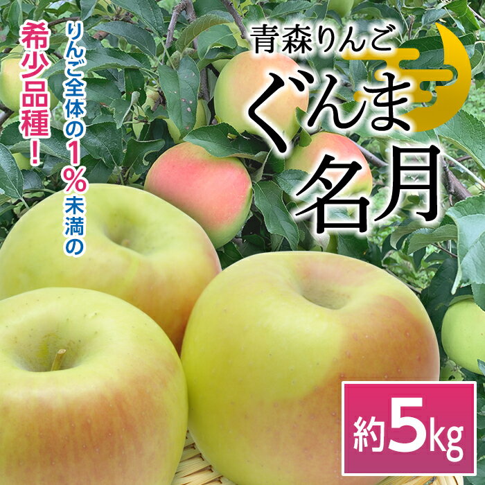 青森りんご ぐんま名月 約5kg(12〜16玉) [マルス果樹園] りんご リンゴ 林檎 アップル 果物 くだもの フルーツ あおもり 青森 青森県 南部町 三戸 南部 F21U-256