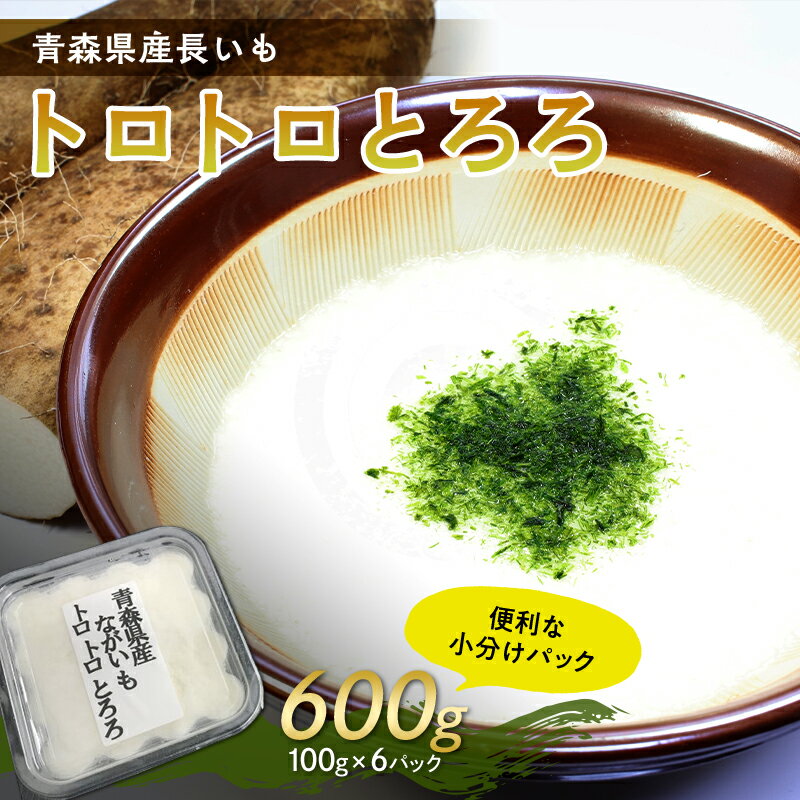 青森県産 長いも トロトロとろろ 600g(100g×6パック) [なんぶ農援]便利な小分けパック 無添加 F21U-257