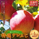 【ふるさと納税】葉とらずりんご 特選サンふじ 約4kg 【四戸農園】 減農薬 有機肥料 青森りんご リンゴ 林檎 アップル あおもり 青森 青森県 南部町 果物 くだもの フルーツ F21U-502