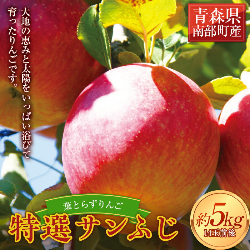 【ふるさと納税】 葉とらずりんご 特選サンふじ 約5kg 【四戸農園】 青森県エコファーマー認定 減農薬 有機肥料 果物 くだもの フルーツ F21U-262のサムネイル