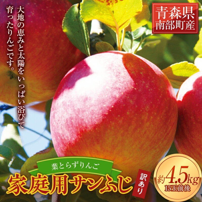 【ふるさと納税】 《家庭用》葉とらずりんご サンふじ 約4.5kg 【四戸農園】 減農薬 有機肥料 青森りんご リンゴ 林檎 アップル あおもり 青森 青森県 南部町 果物 くだもの フルーツ 訳あり 訳アリ わけあり 規格外 F21U-263のサムネイル
