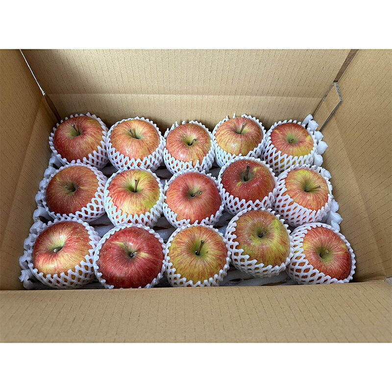 【ふるさと納税】《家庭用》 葉とらずりんご サンふじ 約4.5kg 【四戸農園】 減農薬 有機肥料 青森りんご リンゴ 林檎 アップル あおもり 青森 青森県 南部町 果物 くだもの フルーツ 訳あり 訳アリ わけあり 規格外 F21U-504