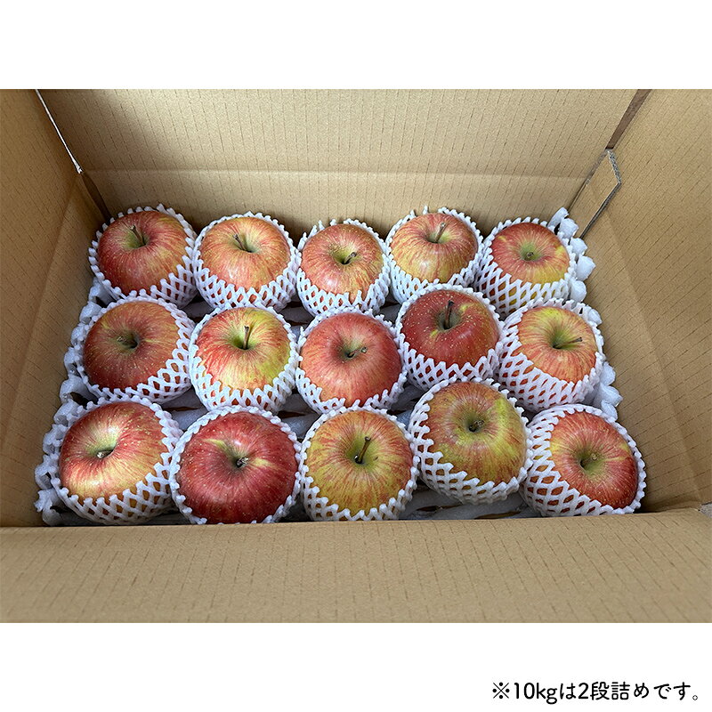 【ふるさと納税】《家庭用》 葉とらずりんご サンふじ 約10kg 【四戸農園】 減農薬 有機肥料 青森りんご リンゴ 林檎 アップル あおもり 青森 青森県 南部町 果物 くだもの フルーツ 訳あり 訳アリ わけあり 規格外 F21U-505