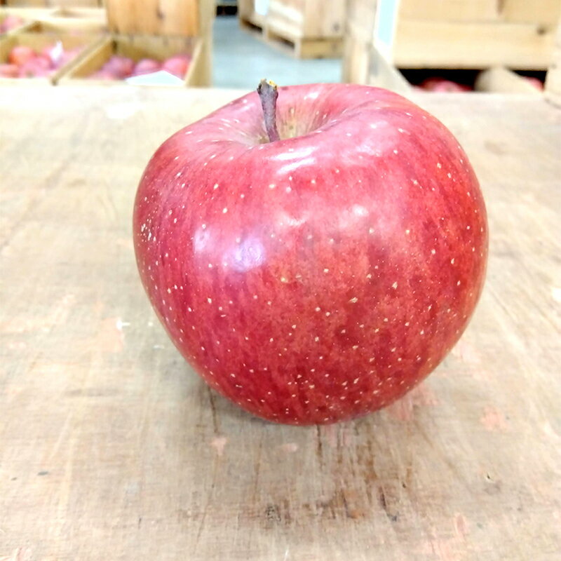 【ふるさと納税】 青森りんご サンふじ 特選品 (大玉) 約5kg (12玉) 【マルス果樹園】 ふじ りんご リンゴ 林檎 アップル 果物 くだもの フルーツ あおもり 青森 青森県 南部町 三戸 南部 3kg 以上 F21U-295