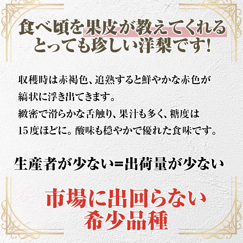 【ふるさと納税】 幻の西洋梨 リーガルレッドコミス 約2kg（6～7玉）【泉山果樹園】 洋ナシ なし 青森県 南部町 フルーツ 果物 くだもの 年内発送 F21U-274