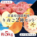 10位! 口コミ数「0件」評価「0」 青森県 希少りんご サンふじ ＆ ムーンルージュ 約5kgセット 【泉山果樹園】 青森りんご ふじ ムーンルージュ リンゴ 林檎 アップル･･･ 