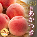 23位! 口コミ数「0件」評価「0」 桃 あかつき 約3kg（8～12玉） 【泉山果樹園】 青森県 南部町 モモ もも 果物 くだもの フルーツ F21U-279