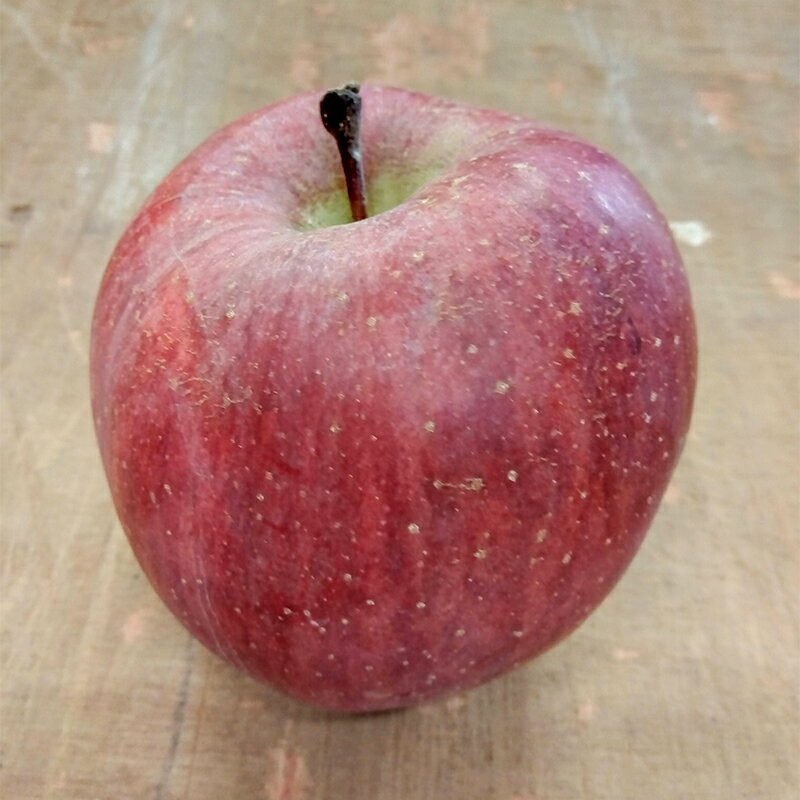 【ふるさと納税】 《訳あり》青森りんご サンふじ 約5kg（16～20玉） 【マルス果樹園】 ふじ りんご リンゴ 林檎 アップル 果物 くだもの フルーツ あおもり 青森 青森県 南部町 三戸 南部 家庭用 訳アリ 規格外 わけあり ワケアリ 3kg 以上 F21U-282