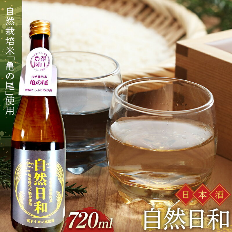 【ふるさと納税】日本酒 自然日和 （箱入り720ml×1本）