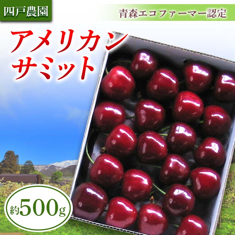 [農家直送] さくらんぼ 「アメリカンサミット」 バラ詰め 約500g [四戸農園]青森県エコファーマー認定 F21U-305