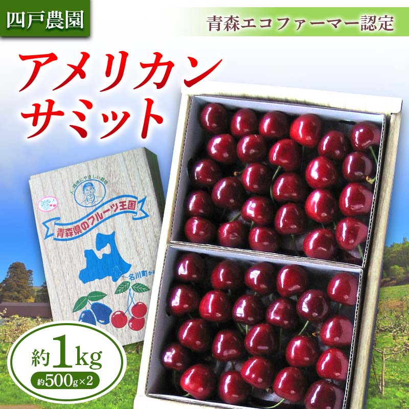 【ふるさと納税】《農家直送》 さくらんぼ 「アメリカンサミット」 バラ詰め 約1kg（500g×2） 【四戸農園】 青森県エコファーマー認定 F21U-306のサムネイル