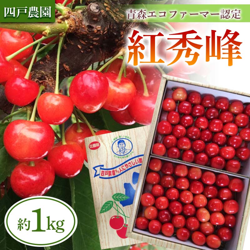 【ふるさと納税】 《農家直送》 さくらんぼ 「紅秀峰」 バラ詰め 約1kg 【四戸農園】 フルーツ王国 フルーツ 旬 果物 さくらんぼ サクランボ チェリー 青森県 南部町 三戸 南部 F21U-312のサムネイル