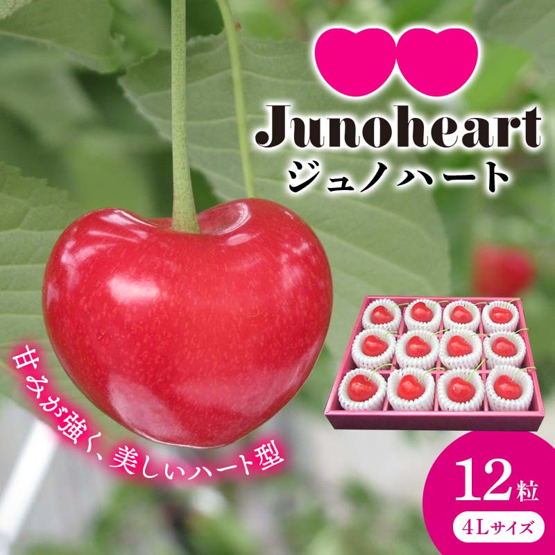 【ふるさと納税】ハート型の特別な大玉さくらんぼ 「ジュノハート」 4Lサイズ 12粒 【南部町ジュノハート生産者部会】 F21U-316のサムネイル