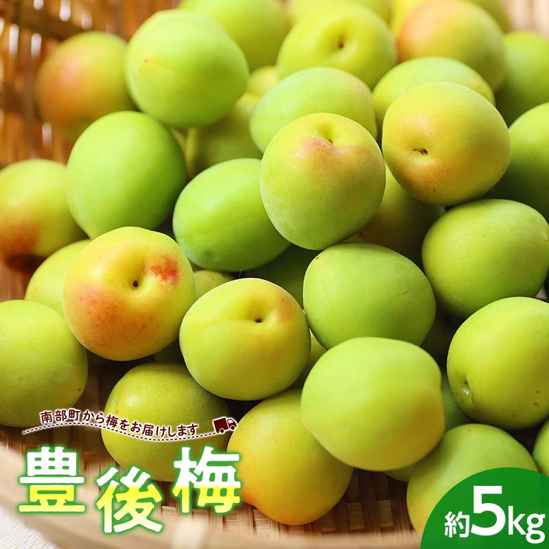 豊後梅(ぶんご梅) 約5kg (バラ) [西塚農園] 梅 梅干し 梅酒 梅干 梅シロップ 梅ジャム 5キロ 数量限定 F21U-318