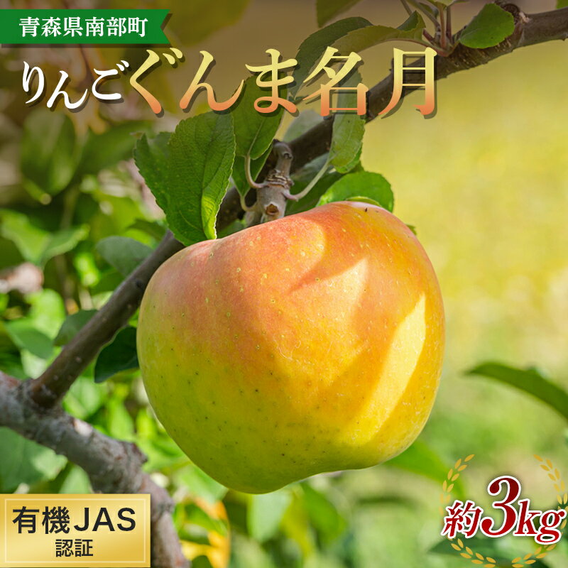 【ふるさと納税】 有機JAS認証 りんご ぐんま名月 約3kg 【和楽堂りんご養生農苑】 青森りんご リンゴ 林檎 アップル あおもり 青森 青森県 南部町 三戸 南部 果物 くだもの フルーツ オーガニック F21U-321