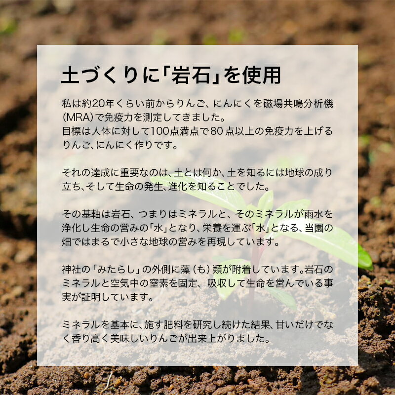 【ふるさと納税】 有機JAS認証 りんご ぐんま名月 約3kg 【和楽堂りんご養生農苑】 青森りんご リンゴ 林檎 アップル あおもり 青森 青森県 南部町 果物 くだもの フルーツ オーガニック F21U-321