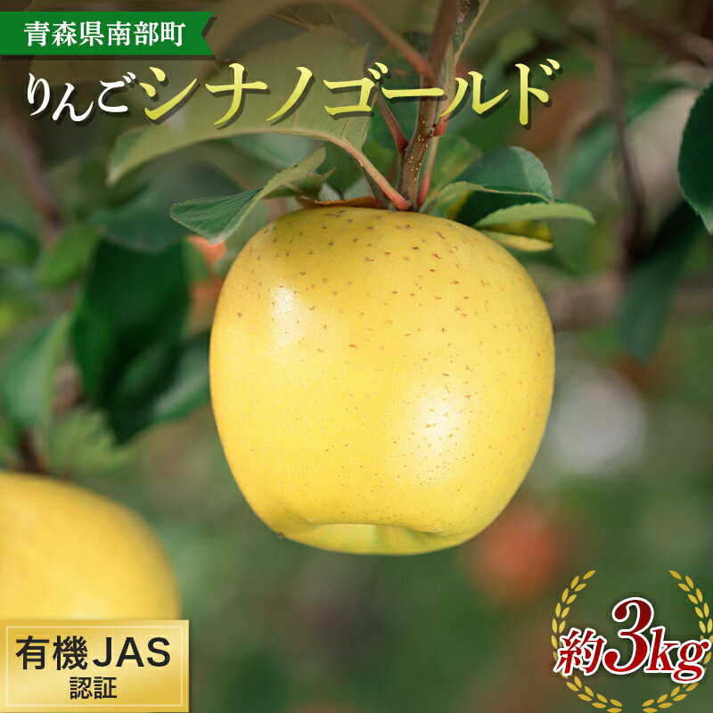 有機JAS認証 りんご シナノゴールド 約3kg [和楽堂りんご養生農苑] 青森りんご リンゴ 林檎 アップル あおもり 青森 青森県 南部町 果物 くだもの フルーツ オーガニック F21U-322