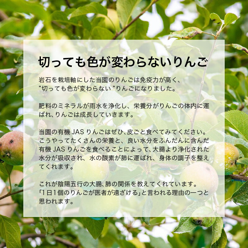 【ふるさと納税】 有機JAS認証 りんご ジョナゴールド 約3kg 【和楽堂りんご養生農苑】 青森りんご リンゴ 林檎 アップル あおもり 青森 青森県 南部町 三戸 南部 果物 くだもの フルーツ オーガニック F21U-323