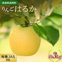 【ふるさと納税】 有機JAS認証 りんご はるか 約3kg 【和楽堂りんご養生農苑】青森りんご リンゴ 林檎 アップル あおもり 青森 青森県 南部町 果物 くだもの フルーツ オーガニック F21U-324