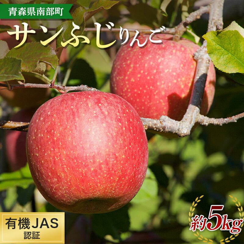 【ふるさと納税】有機JAS認証 サンふじ りんご 約5kg 【和楽堂りんご養生農苑】 リンゴ 林檎 青森県 南部町 果物 くだもの フルーツ F21U-326のサムネイル