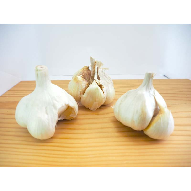 【ふるさと納税】 【訳あり】南部町営市場 直送 にんにく「ふくちホワイト六片種」約1kg 《カネテ青果》 青森にんにく ニンニク ガーリック バラ 最高級品種 福地ホワイト ふくちホワイト六片種 高級ブランド 日本一 青森 南部 F21U-333