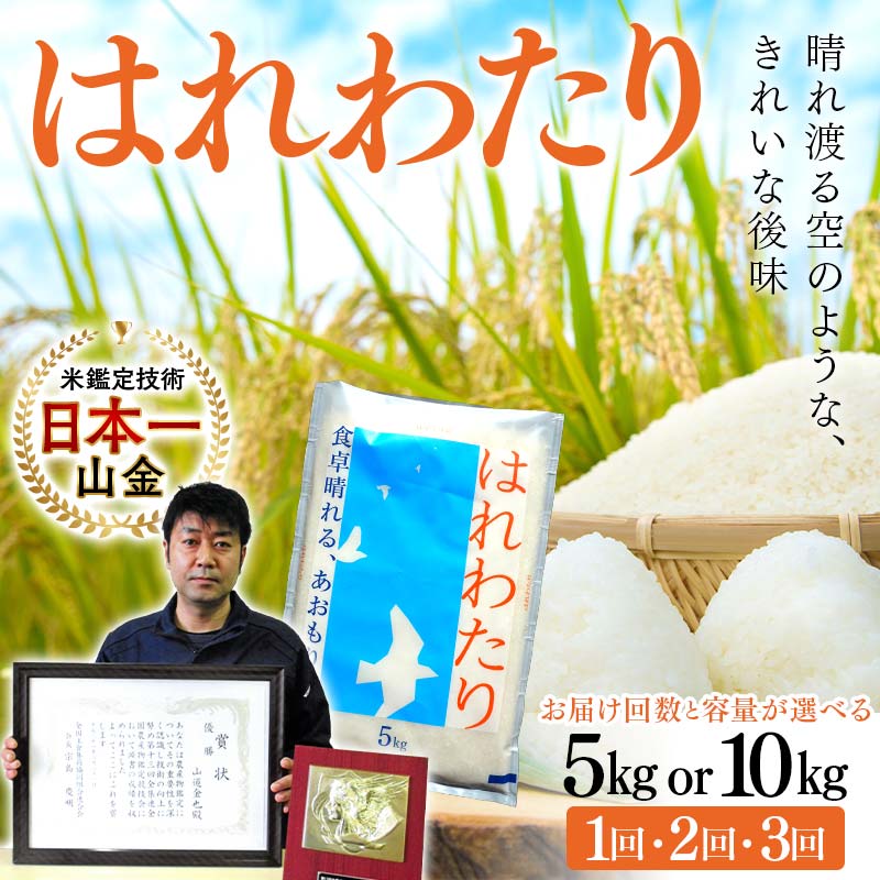 【ふるさと納税】 ＜お届け回数と容量が選べる定期便＞【コメ鑑定技術日本一の山金】 青森県南部町産 特A はれわたり（令和5年産） 5kg・10kg / 1回～3回 白米 精米 米 お米 おこめ コメ 東北 青森県 南部町 容量が選べる F21U-343varのサムネイル